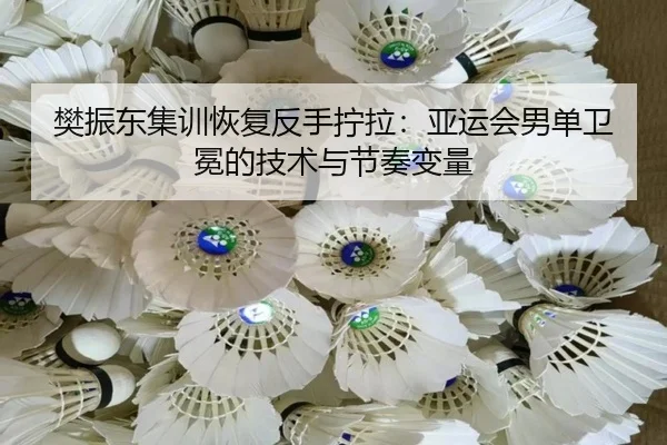 fan-zhen-dong-ji-xun-hui-fu-fan-shou-ning-la-ya-yun-hui-nan-dan-wei-mian-de-ji-shu-yu-jie-zou-bian-liang-3-647.jpg
