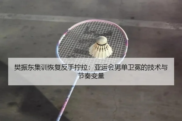 樊振东集训恢复反手拧拉：亚运会男单卫冕的技术与节奏变量